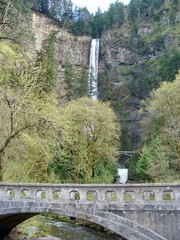 Multnomah Falls, in the Columbia River Gorge, Oregon