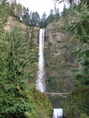 Multnomah Falls, in the Columbia River Gorge, Oregon