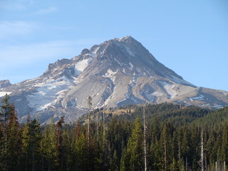 Obraz premium Mt. Hood, Oregon