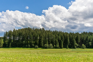 Fototapeta premium Idyllic landscape in the Alps with green meadows and clouds