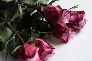 Flowers flatlay