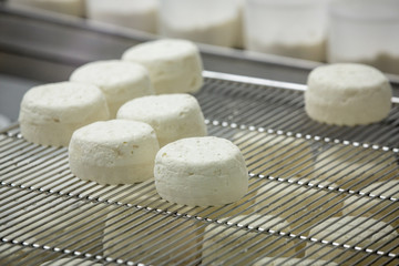 Fototapeta na wymiar Traditional french goat's cheese resting on iron hygienical trays.
