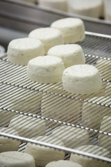 Traditional french goat's cheese resting on iron hygienical trays.