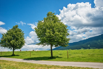 Fototapeta premium Idyllic landscape in the Alps with green meadows and clouds