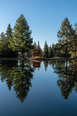 Shelter in a forest mirrored in a calm lake surface © carbonyte