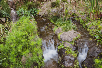 Nature rich in thermal waters, minerals and strong colors flow from everywhere, Dona Beija, island of Sao Miguel, Azores