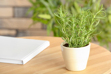 Pot with fresh green rosemary on wooden table
