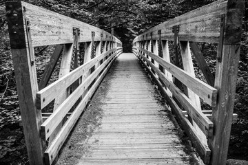 Obraz premium Bridge along the Bagby Hotsprings trail in Oregon