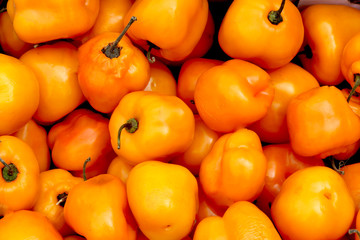 Bell pepper chili hot fresh at the farmer market