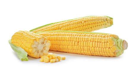 Tasty sweet corn cobs on white background