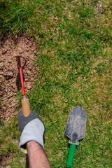 Soil and dirty hand cultivator and hoe during real work in the garden. Garden hand tools.