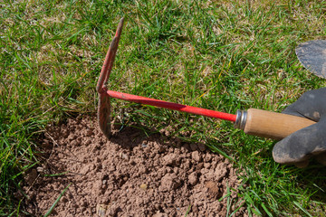 Soil and dirty hand cultivator and hoe during real work in the garden. Garden hand tools.