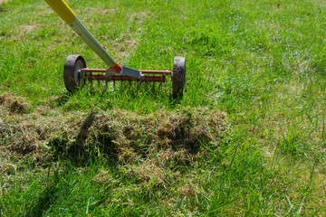 Cleaning up the grass with a rake. Aerating and scarifying the lawn in the garden. Remove old grass. Manual scarification of lawn with fan rakes and wheels. 