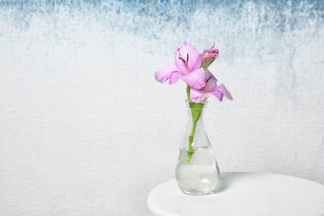 Vase with beautiful gladiolus flowers on table against light background