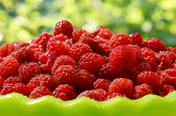lots of ripe red raspberry berries in a bowl on a green blurred background of bokeh foliage.