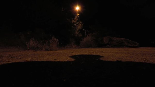 RARE HUMAN SHADOW AT NIGHT 