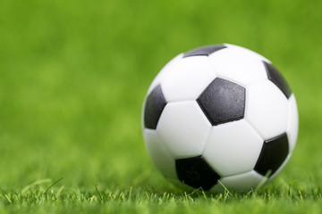 Fototapeta na wymiar Soccer ball on green grass