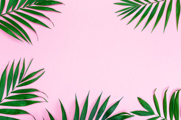 Tropical composition background