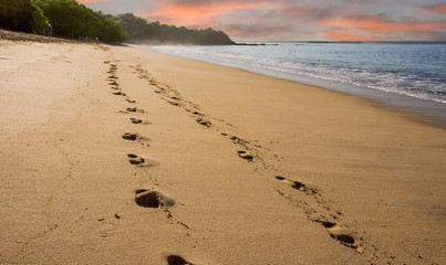 Footsteps on Early Morning Beach