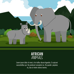 Elephant african animals cartoon poster with information vector illustration graphic design