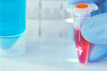 Plastic tube with liquid sample and blue tube with reacton buffer.