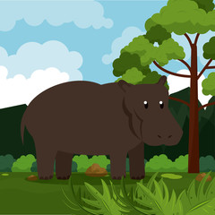 Hippo wild animal at jungle cartoons vector illustration graphic design