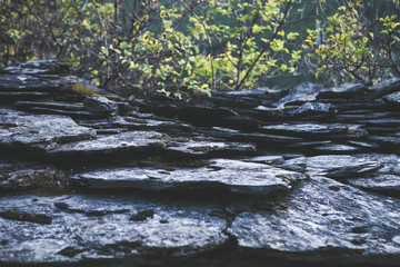 Layered stone against the background of trees in the evening light