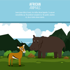 African animals rhino and antelope cartoon poster with information vector illustration graphic design