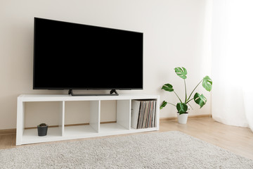 Fototapeta premium Cozy home interior with TV and monstera palm