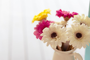 Colorful Flowers in vase with light ray from window