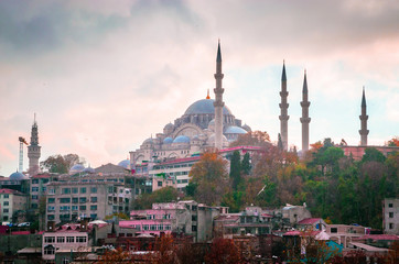 Obraz premium Suleymaniye mosque in Istanbul, Turkey