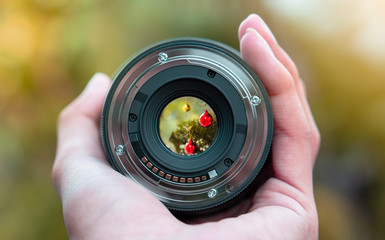 beautiful christmas decoration view look through the camera lens photography