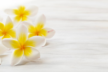 Fototapeta na wymiar Frangipani flower on white background 