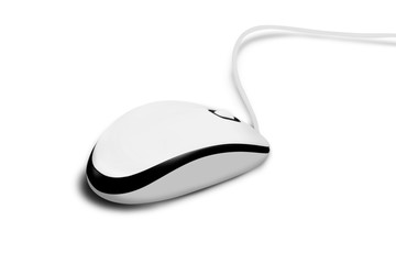 Computer Mouse