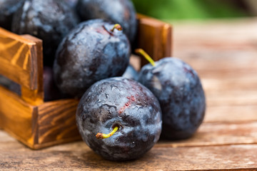 Fresh ripe plums in wooden box close