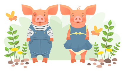 two pigs in clothes
