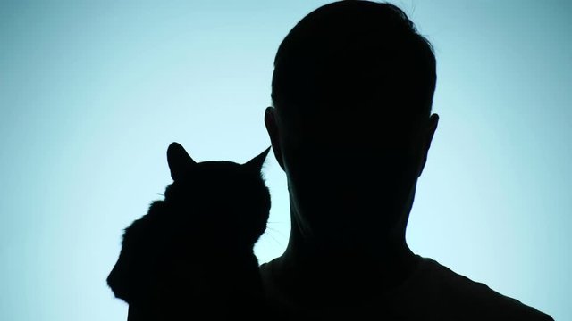 color background. 4k, slow motion. shadow of a man. a lonely man gets in love with his cat.