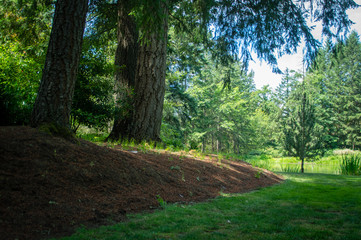 Obraz premium Oregon Trip