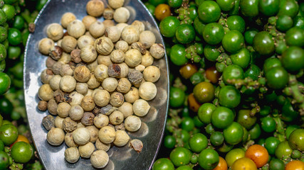 raw green and processed peppercorn. tropical ingredient and agriculture concept