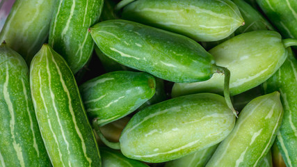 stack of green fresh organic cucumber.