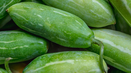 stack of green fresh organic cucumber.