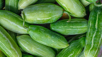 stack of green fresh organic cucumber.