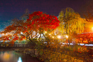 Naklejka na ściany i meble 秋の京都、祇園白川の夜景 