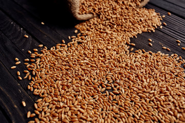 Obraz premium grain bag