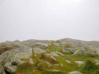 Summit of a mountain during a foggy summer day. Camels Hump, Vermont, USA