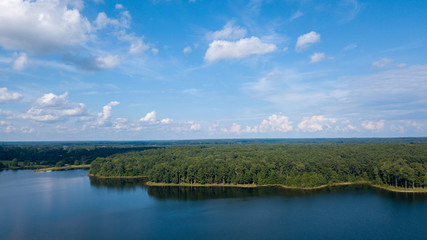 Obraz premium forrest, lake, pond, river, water, 