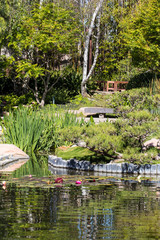 Fototapeta na wymiar peaceful Japanese garden and pond 