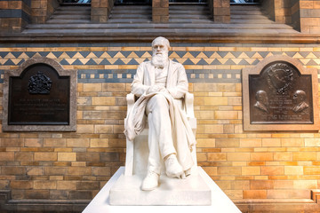 Sir Charles Darwin statue at the Natural History Museum in London, UK