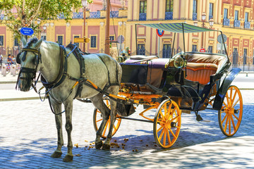 Horses with their bright carriages wait patiently for tourists outside the Cathedral in Seville, Spain