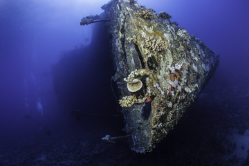 Red Sea